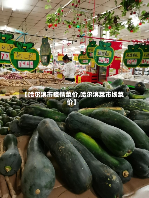 【哈尔滨市疫情菜价,哈尔滨菜市场菜价】