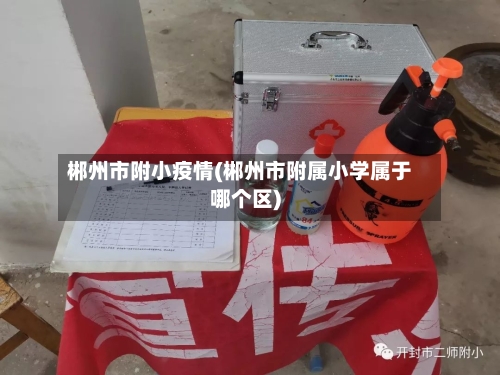 郴州市附小疫情(郴州市附属小学属于哪个区)-第2张图片