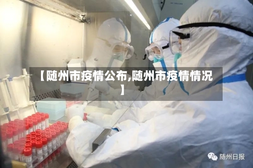 【随州市疫情公布,随州市疫情情况】-第2张图片