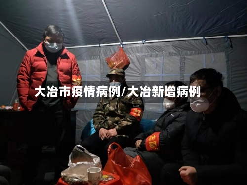 大冶市疫情病例/大冶新增病例