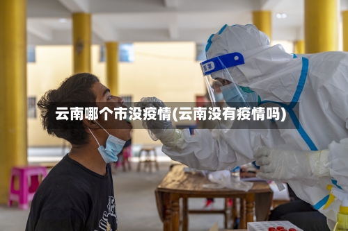 云南哪个市没疫情(云南没有疫情吗)-第2张图片