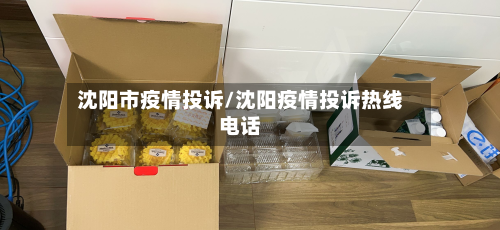 沈阳市疫情投诉/沈阳疫情投诉热线电话-第2张图片