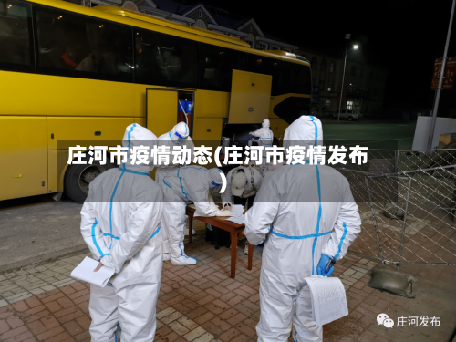庄河市疫情动态(庄河市疫情发布)-第2张图片