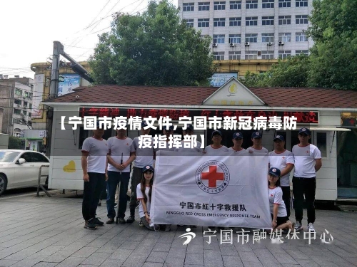 【宁国市疫情文件,宁国市新冠病毒防疫指挥部】-第3张图片
