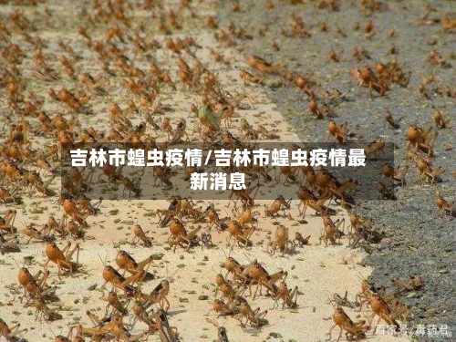 吉林市蝗虫疫情/吉林市蝗虫疫情最新消息