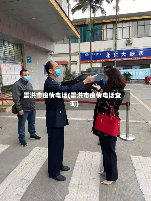 景洪市疫情电话(景洪市疫情电话查询)