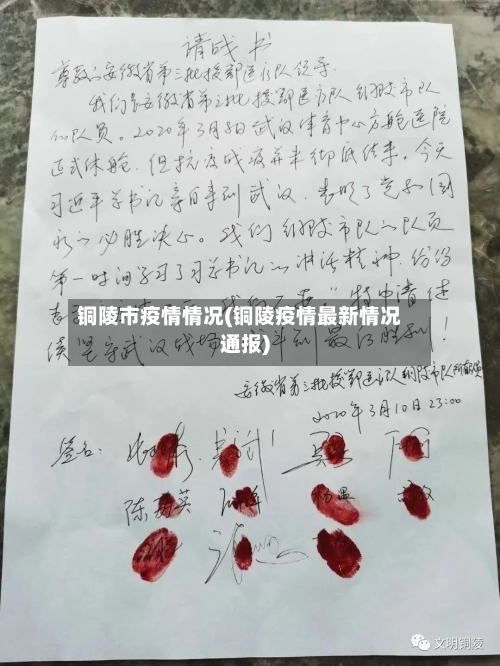 铜陵市疫情情况(铜陵疫情最新情况通报)