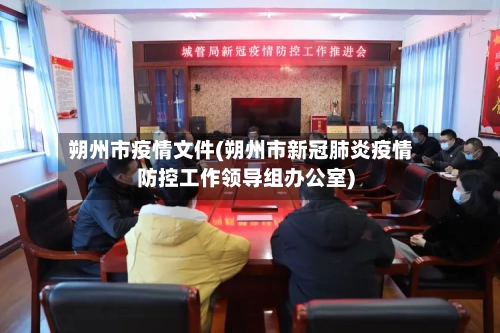 朔州市疫情文件(朔州市新冠肺炎疫情防控工作领导组办公室)-第3张图片