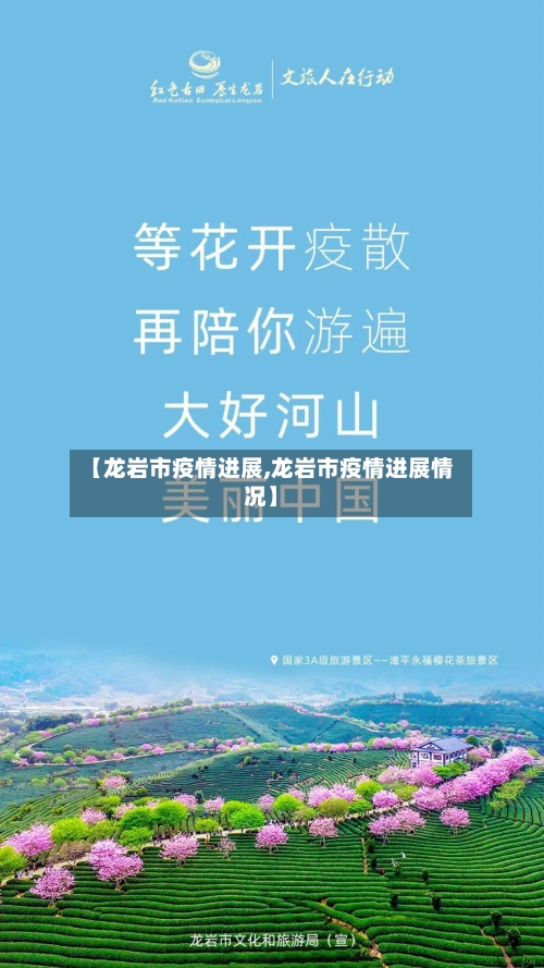 【龙岩市疫情进展,龙岩市疫情进展情况】