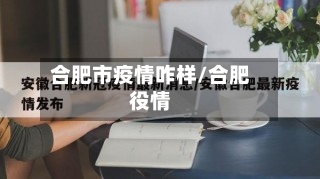 合肥市疫情咋样/合肥役情-第2张图片