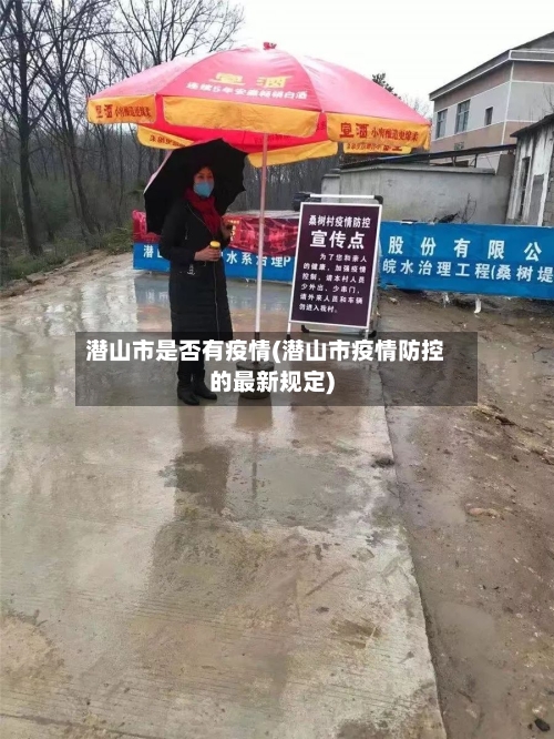 潜山市是否有疫情(潜山市疫情防控的最新规定)-第2张图片