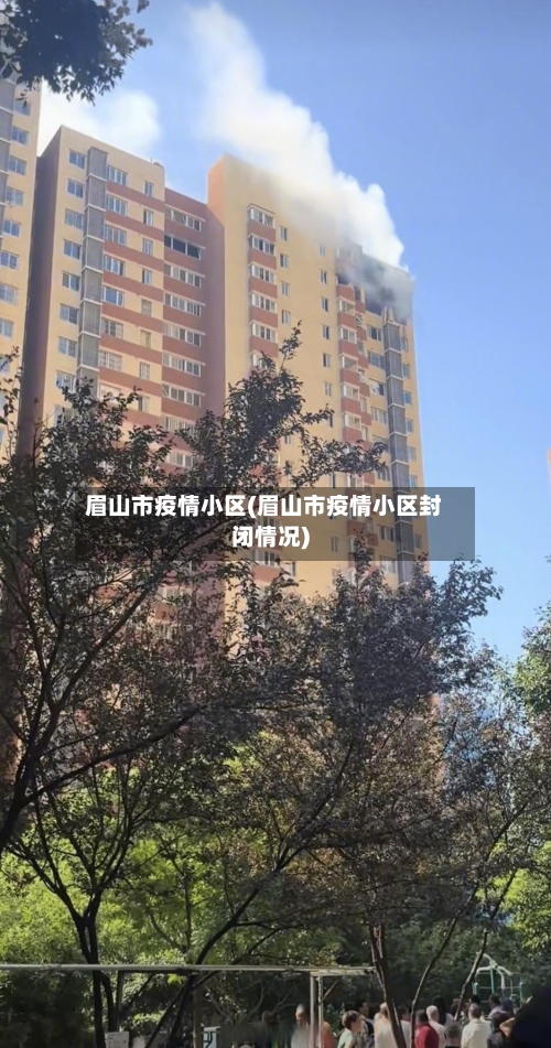 眉山市疫情小区(眉山市疫情小区封闭情况)-第3张图片